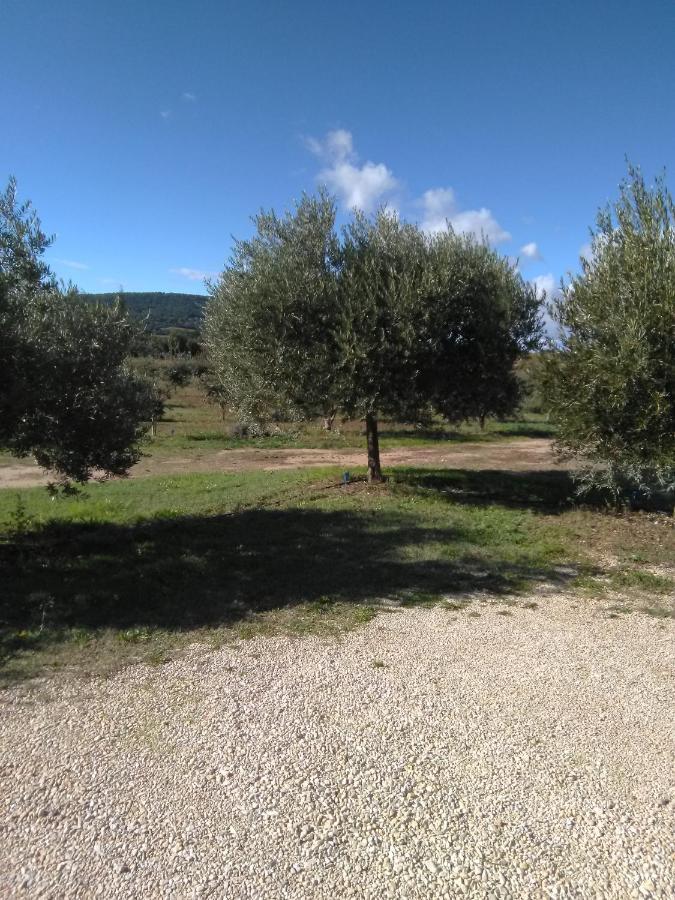 Vacances Vaison La Romaine Bagian luar foto